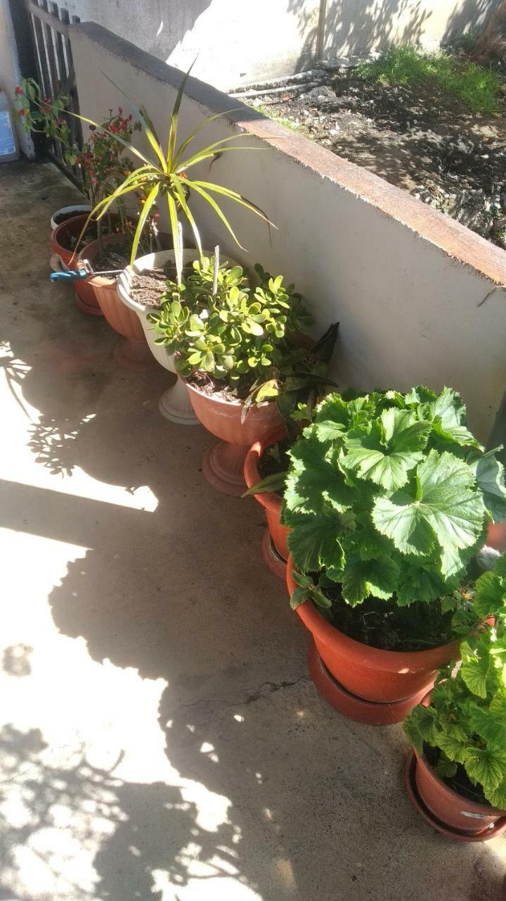 Отдых У Анаиды Gagra Exterior foto